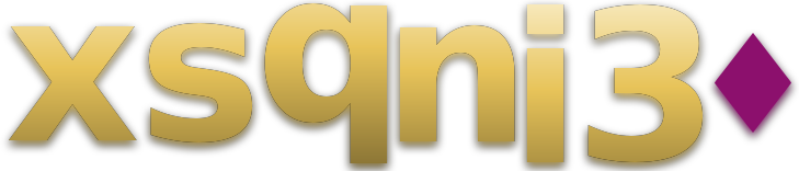 xsqni 30 logo